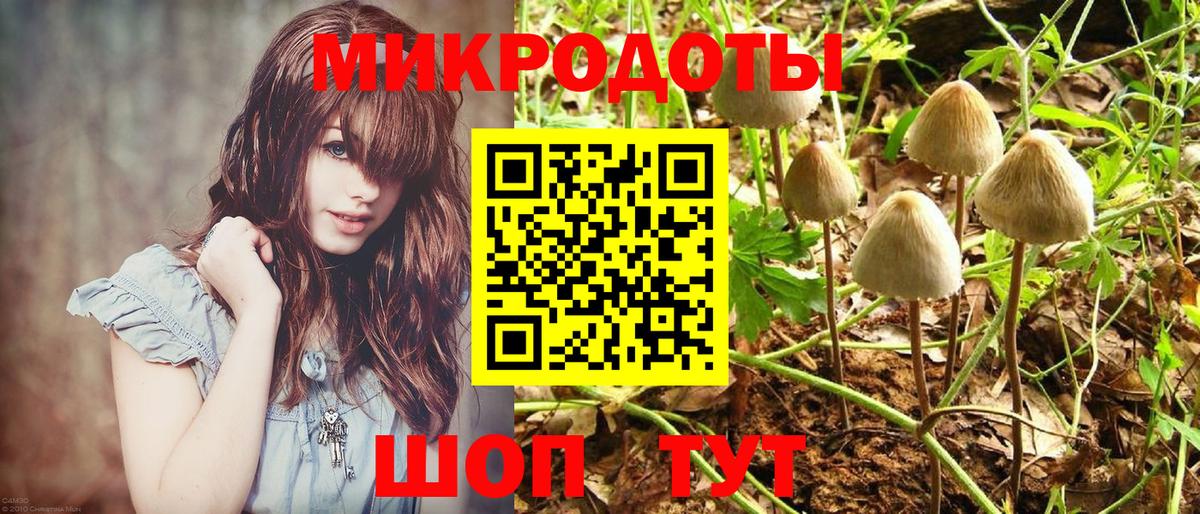 Санкт-Петербург  Галлюциногенные грибы мицелий  Вход с VPN 